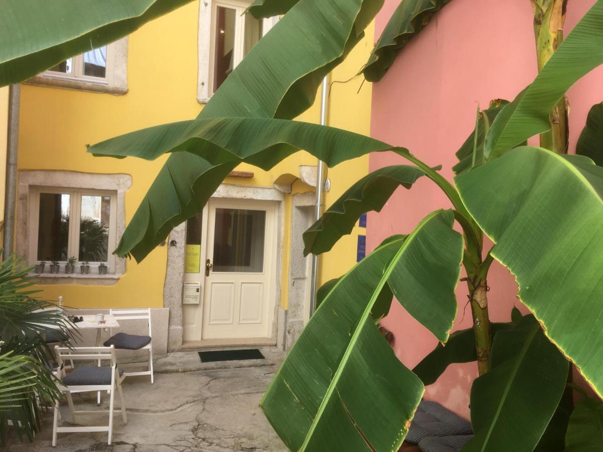 Casa Colloredo Free Parking روفينج المظهر الخارجي الصورة
